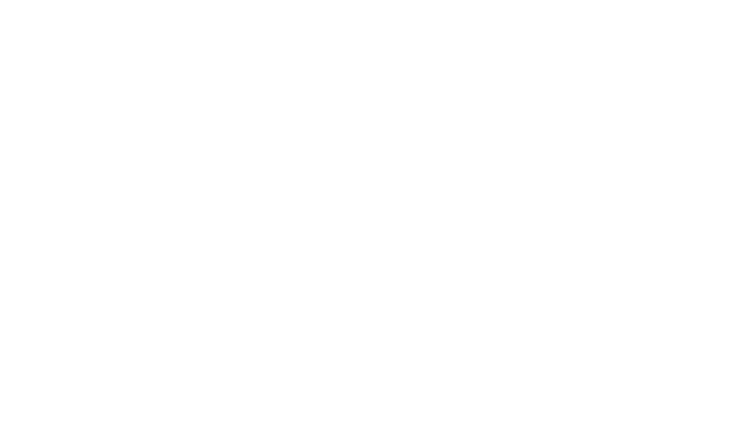 Meta Business Partner